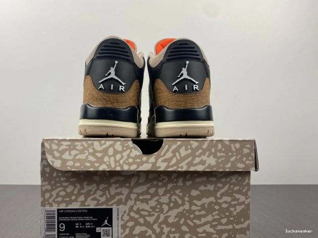 Reps LUCY Air CT8532-008 Jordan Elephant Desert 3 0715